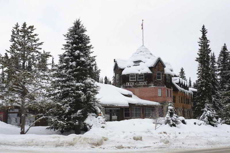 Deer Lodge Лейк-Луїз Екстер'єр фото